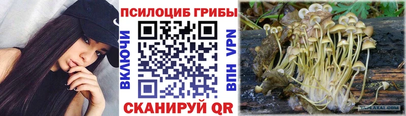 купить закладку  Курильск  Галлюциногенные грибы мицелий 